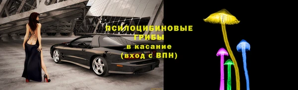 гашик Верхнеуральск
