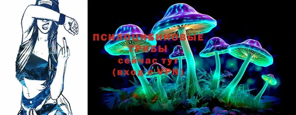 прущая мука Верея
