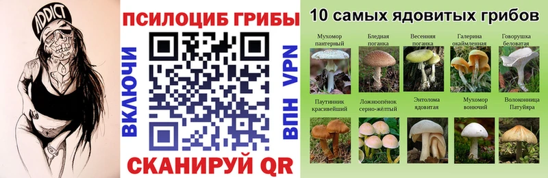 Псилоцибиновые грибы мухоморы  маркетплейс наркотические препараты  Новосибирск 
